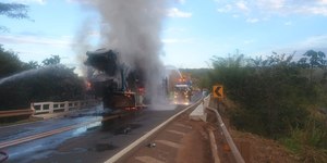 Goiás: cegonha com carros elétricos pega fogo em ponte da BR-364