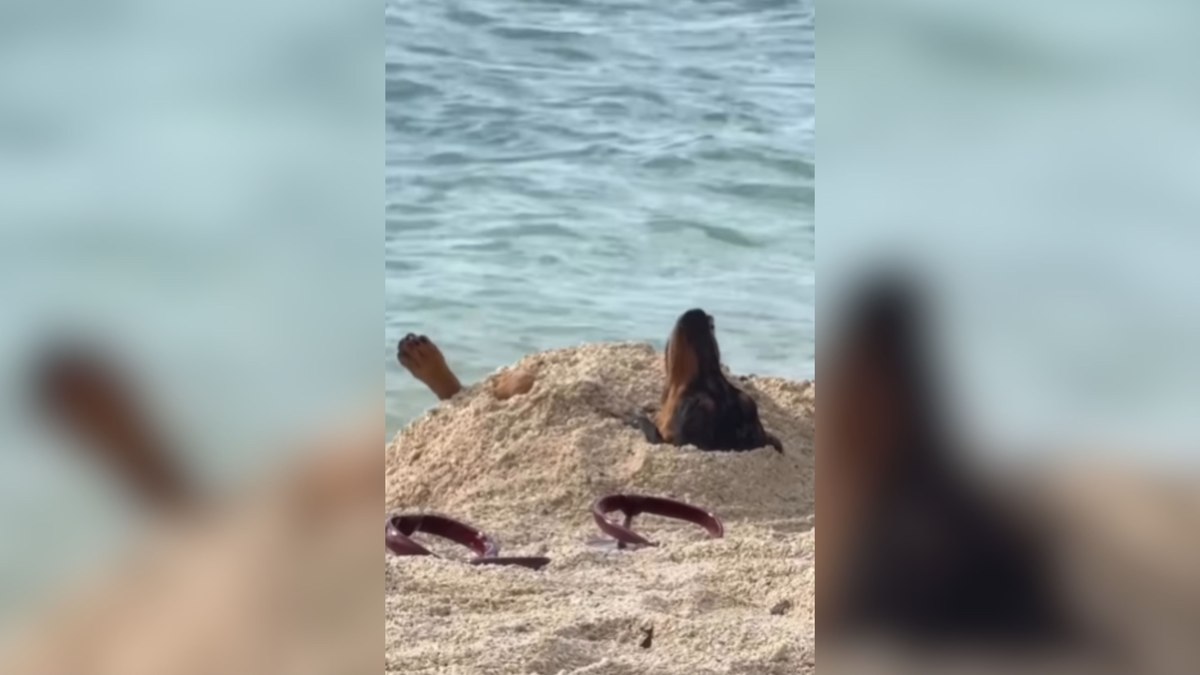Cachorro 'Salsicha' Choca Web ao Curtir Praia de Barriga para Cima: Veja!