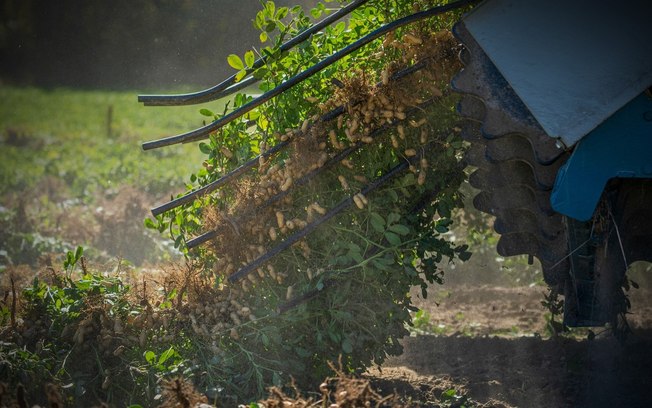 Agronegócio: do discurso verde na COP ao desmonte das leis ambientais