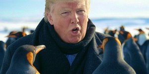 Trump impõe tarifa em ilha de pinguins e web reage