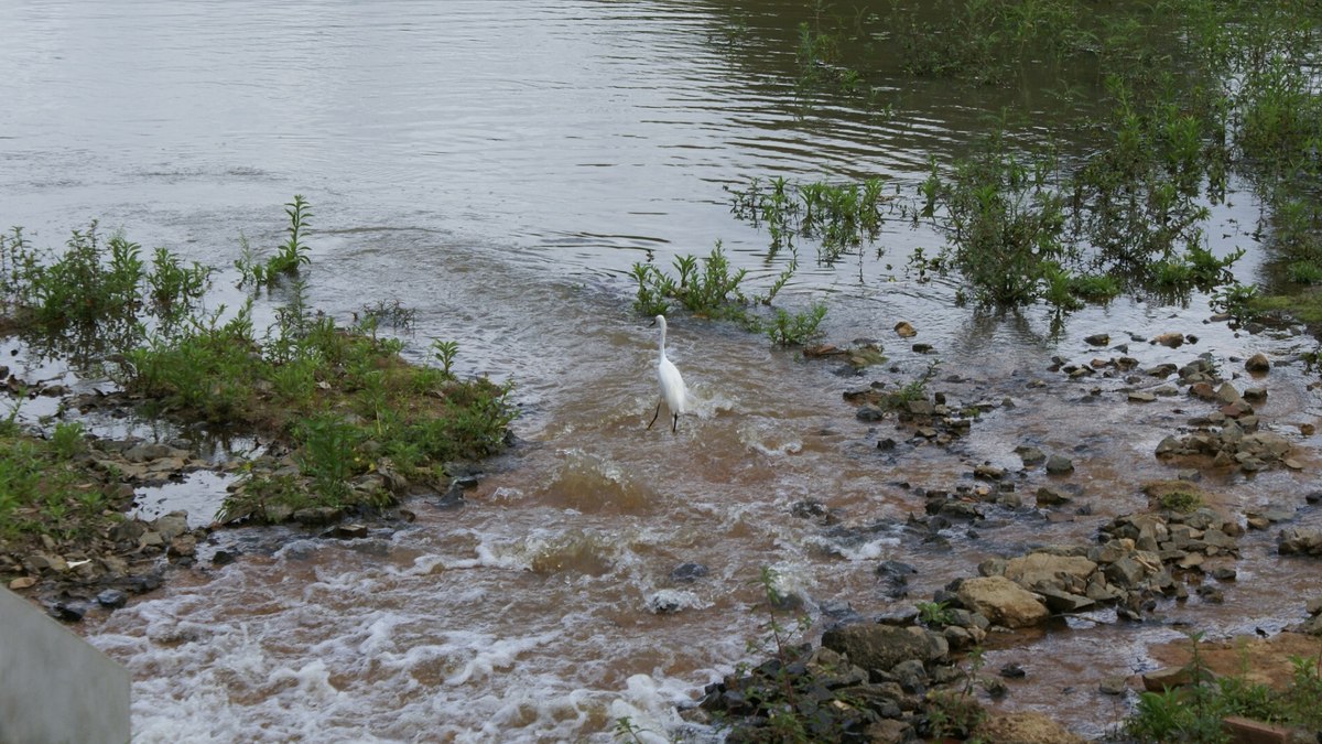 Processo busca aprimorar a gestão dos recursos hídricos e a infraestrutura de saneamento Processo busca aprimorar a gestão dos recursos hídricos e a infraestrutura de saneamento