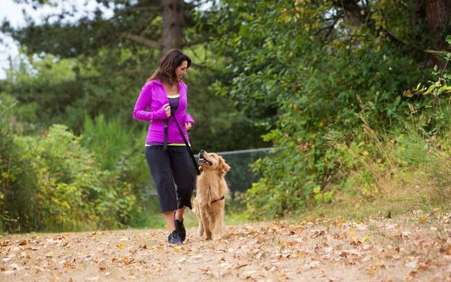 A associação de exercícios físicos, estabelecimento de uma rotina e tratamento recomendado pelo especialista é a melhor forma de fazer a terapia comportamental canina funcionar