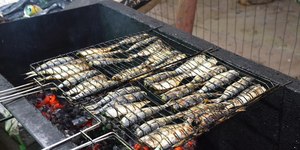 Festival da Sardinha em Ilhabela (SP) celebra a cultura caiçara