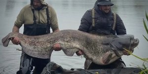 Pescador fisga bagre de 61 kg e bate recorde