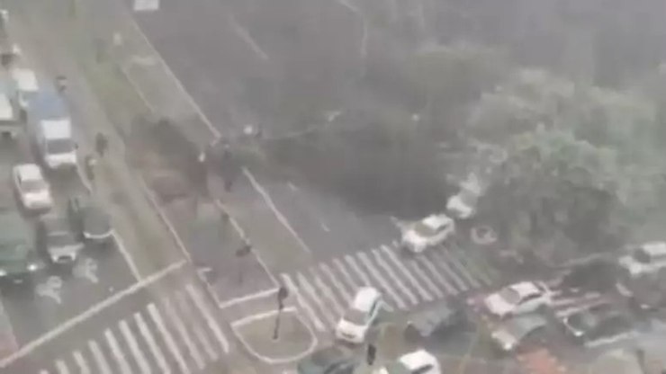 SP: chuva alaga ruas e derruba árvore na Consolação; veja vídeo