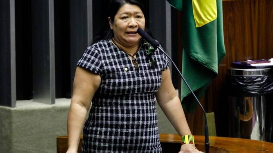 Joenia Wapichana (Rede-RR) é a única parlamentar indígena do Congresso