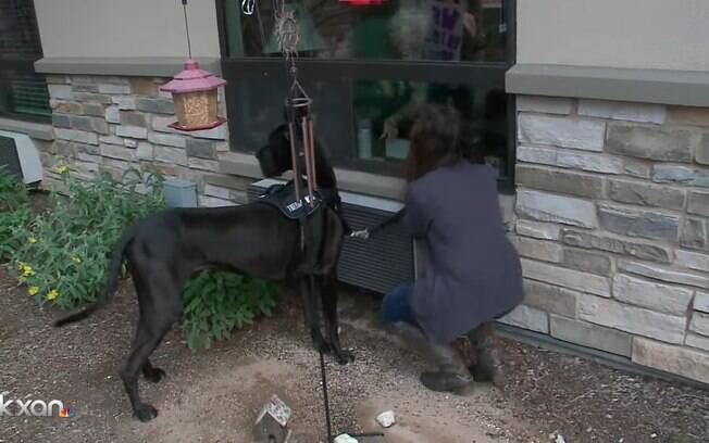 Tonka e sua dona levam alegria à idosos em centro comunitário do Texas