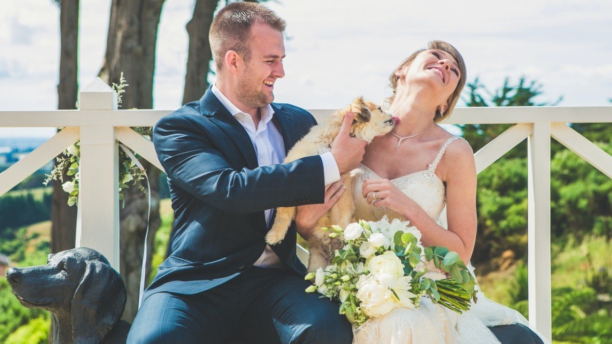 Como incluir o seu pet em sua festa de casamento