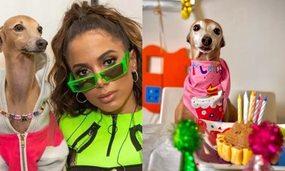 Plínio, cachorro de Anitta, comemora 8 anos com festa exclusiva na creche