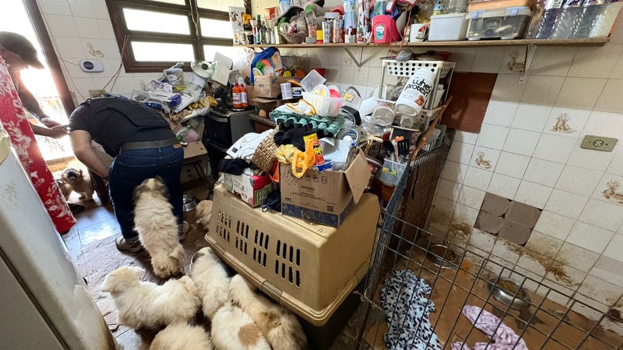 Polícia resgatou 125 animais vítimas de maus-tratos na Grande SP