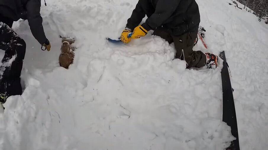 Cachorro soterrado por avalanche é encontrado vivo após 20 minutos de busca