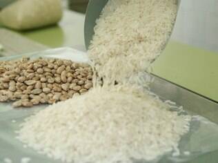 Safra arroz e feijão