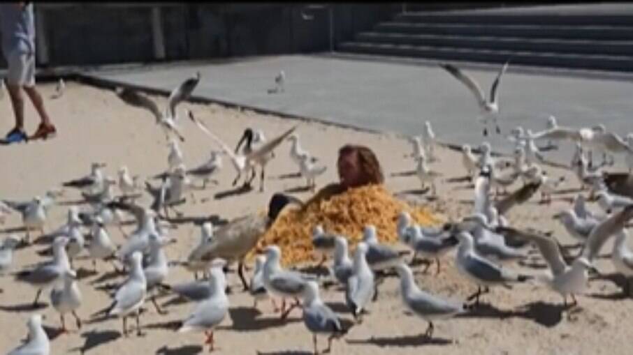 Homem se cobre com batatas fritas para alimentar gaivotas na Austrália 