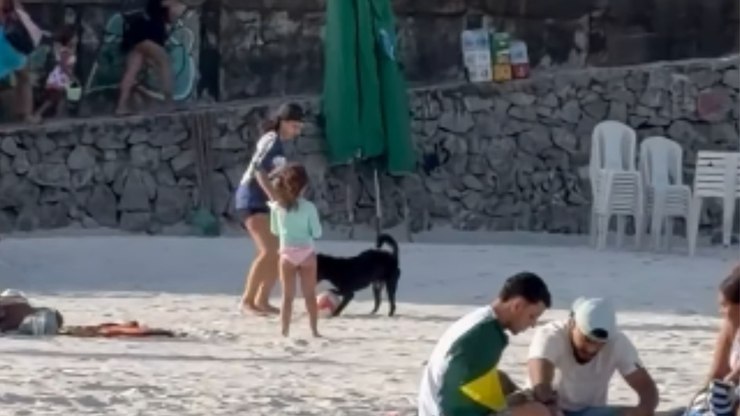 Cachorro%20vira%20fiscal%20da%20praia%20e%20n%C3%A3o%20deixa%20ningu%C3%A9m%20jogar%20bola