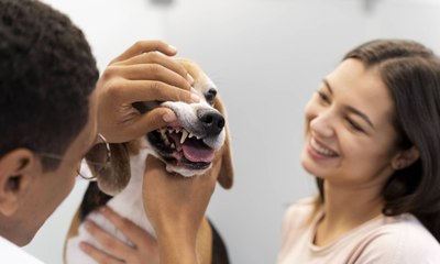 Você tem dado atenção à saúde bucal do seu pet?