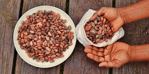 Ingrediente do chocolate atrasa envelhecimento, diz estudo