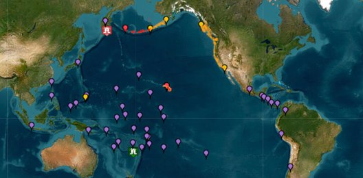 Terremoto no Pacífico provoca tsunamis e alertas em vários países