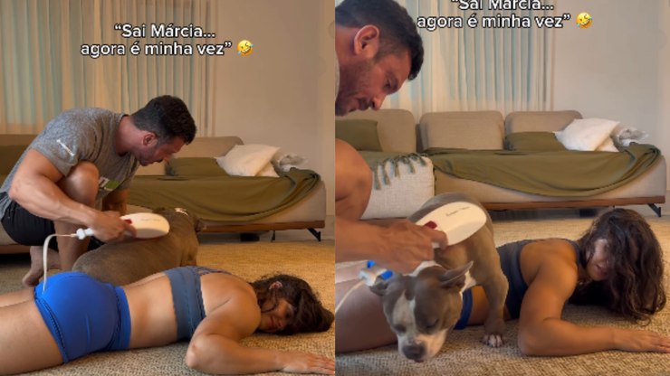 American Bully invade massagem da tutora e tenta garantir sua vez