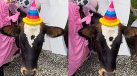 Bet patrocina festa junina da Prefeitura de São Paulo