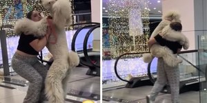 Tutora carrega cachorro gigante no colo em escada rolante; veja