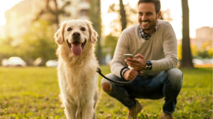 6 lugares para deixar seu animal de estimação durante as férias