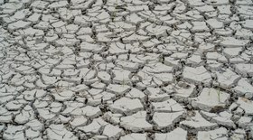 Brasil explora apenas 1% do mercado global sustentável