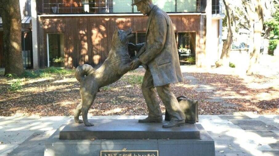 Conheça a história de câes tão leais que foram homenageados com estátuas