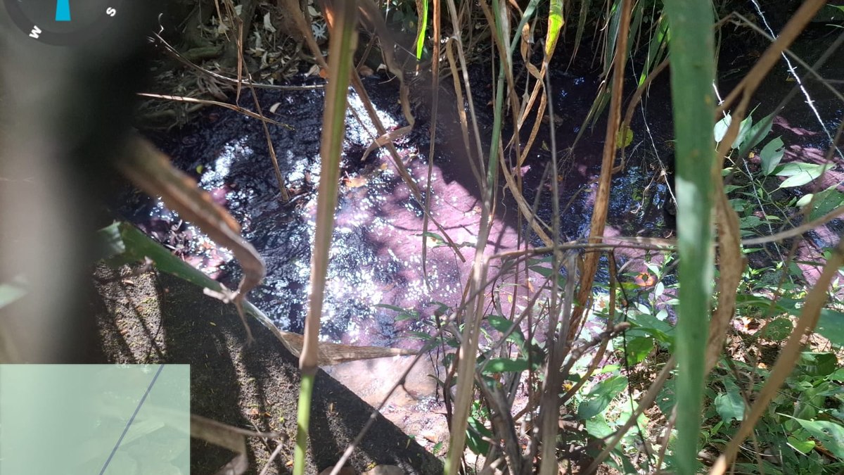 Carga química deixa córrego rosa e suspende captação de água