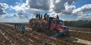 MPT resgata 22 pessoas de trabalho escravo em Batatais (SP)