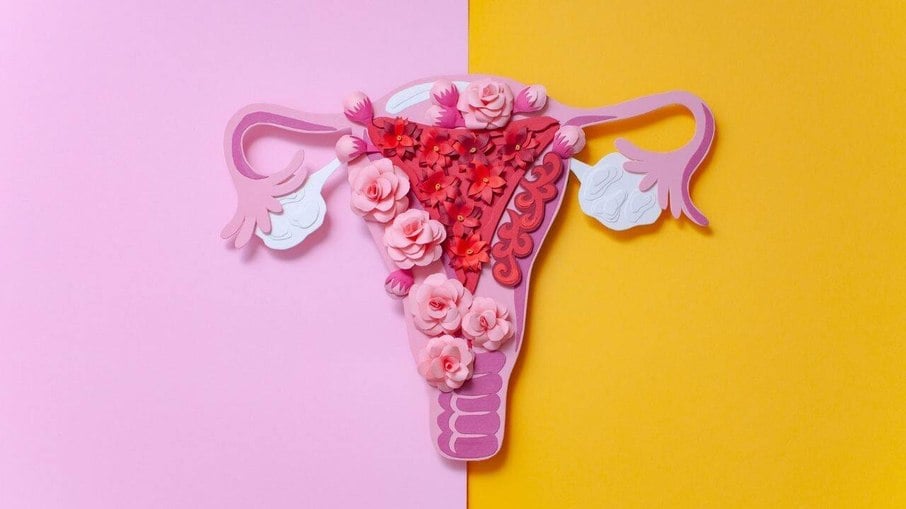 Endometriose: fisioterapeuta pélvica explica sobre a condição que é uma das principais  causas da dificuldade em engravidar