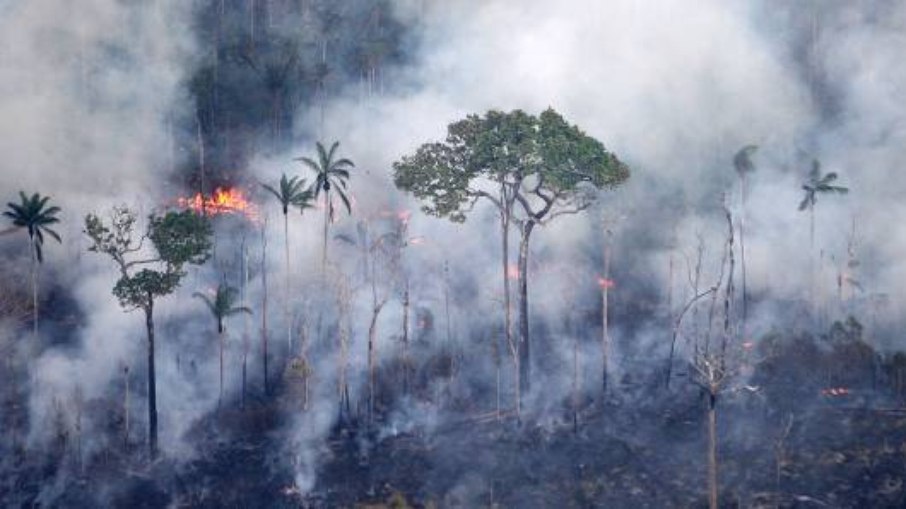 El Niño pode contribuir para que Amazônia sofre recorde de queimadas em 2016 El Niño pode contribuir para que Amazônia sofre recorde de queimadas em 2016