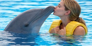 México proíbe shows com golfinhos e muda as regras do turismo