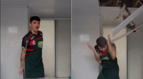 Medo de pepino em gatos: brincadeira ou perigo?
