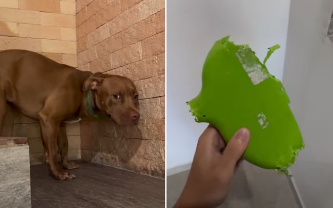 1mzqd66mh6fxtljysn5a3jxdb