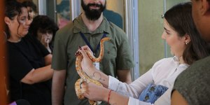 Bosque de Campinas tem edição especial e interação com animais