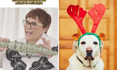 Márcia Sensitiva ensina ritual para proteger pets no Natal