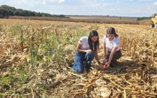 Com práticas de agricultura regenerativa, fazenda no interior de SP registra pegadas de carbono de soja e milho abaixo da média nacional