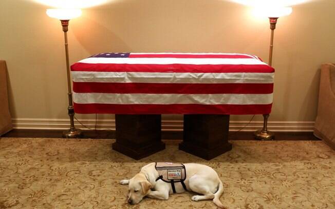 Sully%2C o cão do ex-presidente norte-americano George H.W. Bush, ficou deitado ao lado do caixão, no último domingo