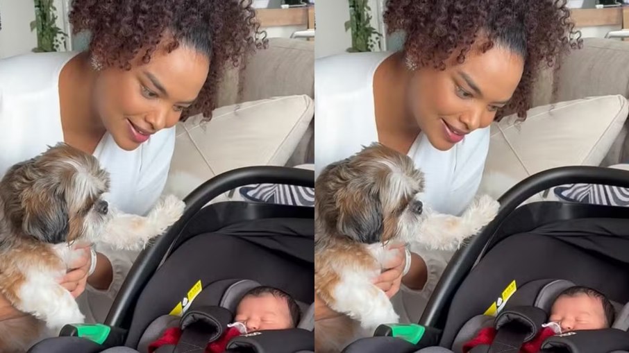 Lucy Ramos mostra filha recém-nascida aos cães Lucy Ramos mostra filha recém-nascida aos cães