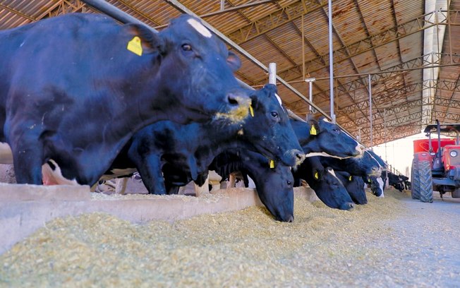 Cientistas testam bens sustentáveis para contole parasitário