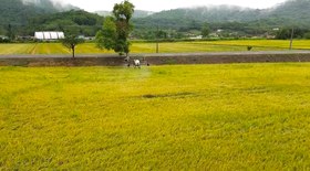 LiuGong celebra recorde de vendas na Agrishow 2025