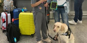 TAP cancela voo após barrar cão de serviço de criança autista