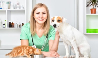 8 especialidades veterinárias e quando procurar cada uma delas