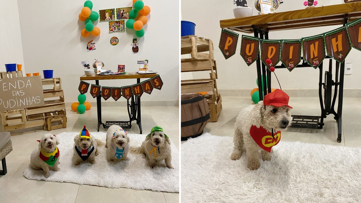Poodles viram personagens do Chaves em festa temática Poodles viram personagens do Chaves em festa temática