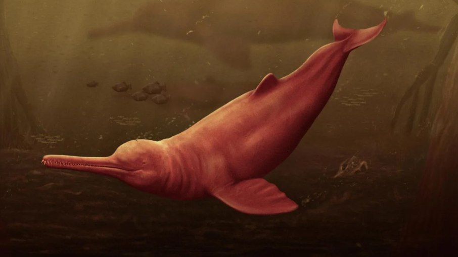 Os ossos encontrados por pesquisadores na Amazônia peruana revelaram que a espécie de golfinho de água doce tinha proporções gigantescas
