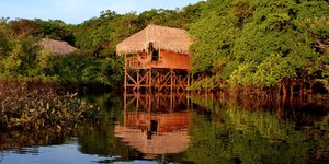 Conheça 5 hotéis sustentáveis na Amazônia