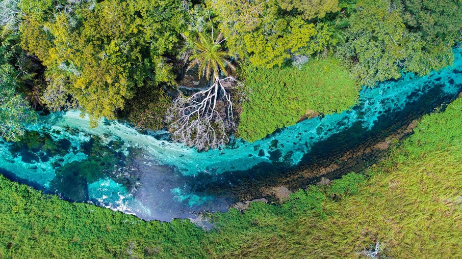 Rio Sucuri, em Bonito Rio Sucuri, em Bonito