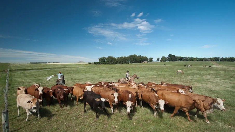 Emissões de metano continuam subindo no mundo, mostra estudo. Emissões de metano continuam subindo no mundo, mostra estudo.