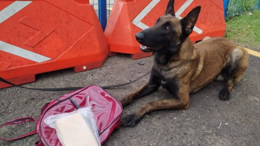 Dentro de uma mochila, escondidada embaixo da poltrona, foi encontrado 1 tablete de cocaína. Dentro de uma mochila, escondidada embaixo da poltrona, foi encontrado 1 tablete de cocaína.