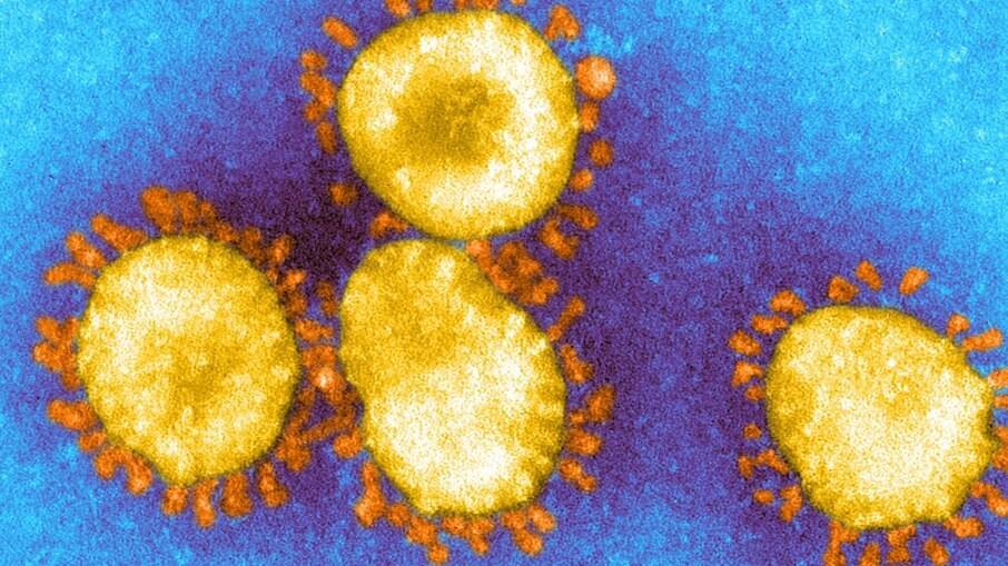 Brasil investigará variantes do coronavírus
